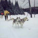 24680_329487822458_5376859_n-150x150
