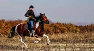 Equitation Laurentides